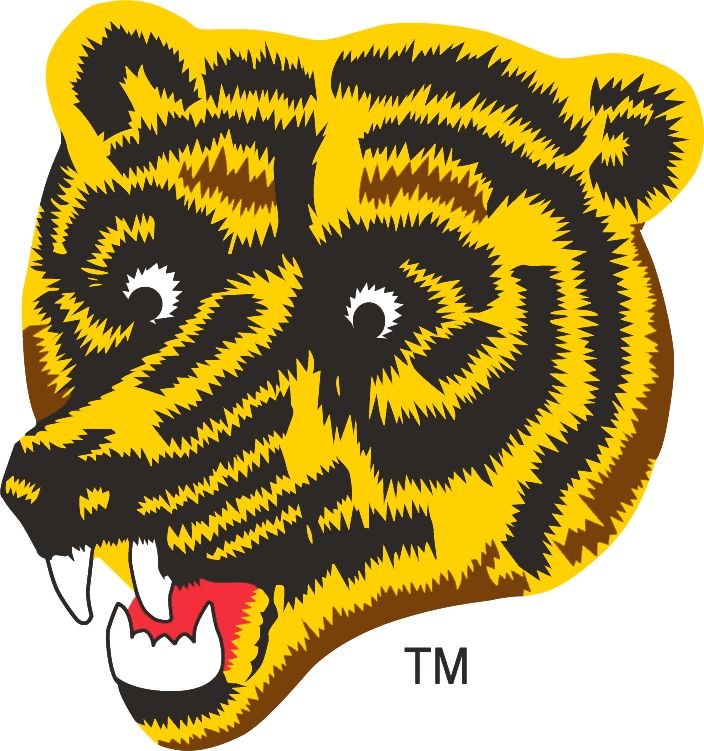 Boston Bruins 1976-1995 Alternate Logo t shirts iron on transfers